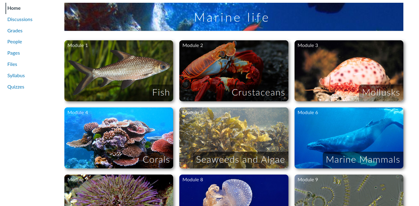 Marine life custom home page theme